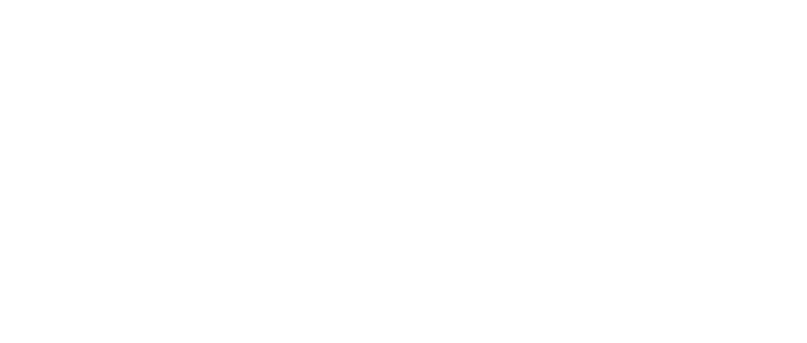 SDT Logo